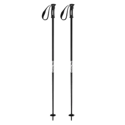 Dancer Poles - Skistave