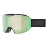 Evidnt Attract V - Skibrille