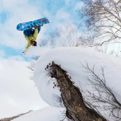 Family Tree Sketch Artist Camber - Snowboard