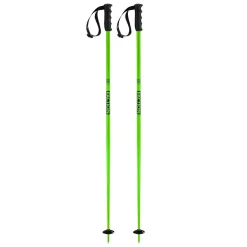 Prodigy Poles - Skistave