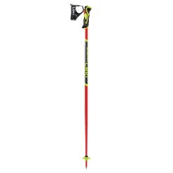 WCR Lite SL 3D - Skistave