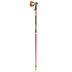 WCR SL 3D - Skistave